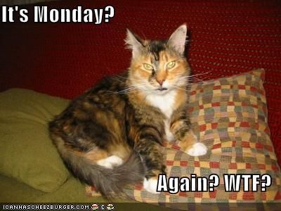 Monday? Again? WTF? photo MondayagainWTF_zpscb1c0490.jpg