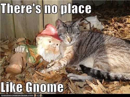 No place like Gnome photo Noplacelikegnome_zps07789010.jpg