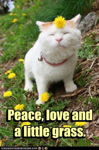 Peace, love and a little grass. photo PeaceLoveandalittlegrass_zps525af002.jpg
