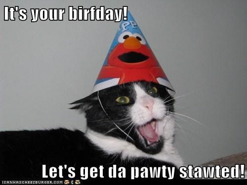 Your Birthday Let's get da pawty stawted! photo BirfdaiGetDaPartyStarted_zpsdc047223.jpg