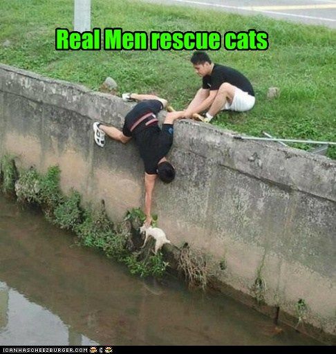 Real Men rescue cats photo RealMenrescuecats_zpsffe56c76.jpg