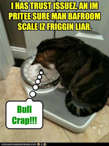 baffroom scale is friggin liar photo Scalelies_zps643f4d23.jpg