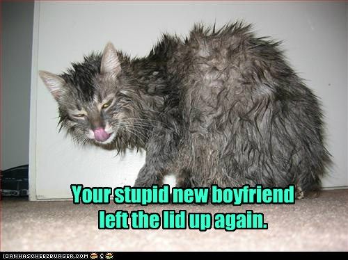 Stupid boyfriend left the lid up again. photo Stoopidboyfriend_zpsab3633da.jpg
