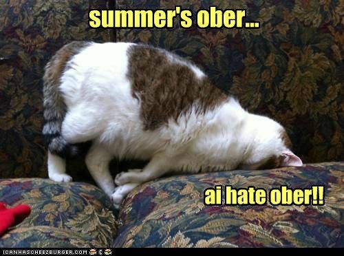 summer's over...i hate over!! photo Summersober_zps2bd52aab.jpg