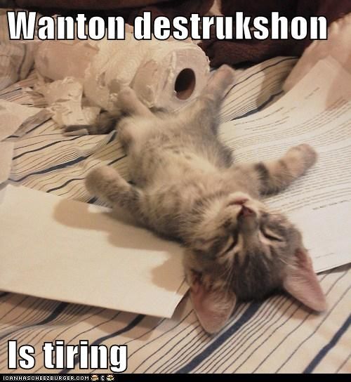 Wanton destruckshun is tiring photo WantonDestruckshun_zps5818debd.jpg