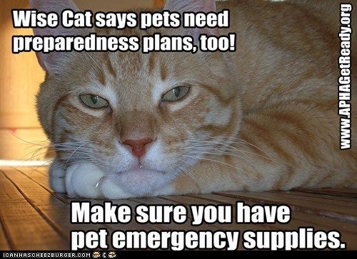 Pets Need Preparedness Too photo WiseCatBePreparedForEmergencies_zpsf07e8630.jpg