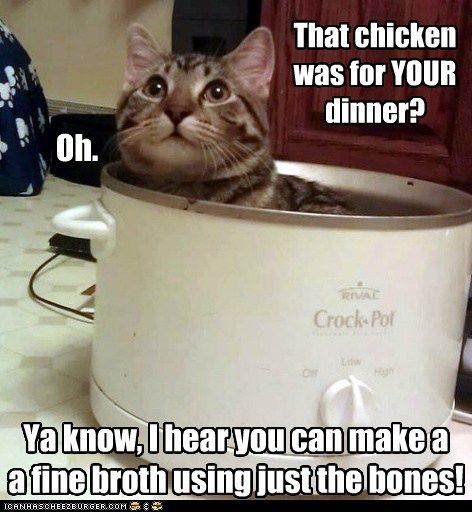 Your chicken dinner?? photo Yourchickendinner_zpsf40808a5.jpg