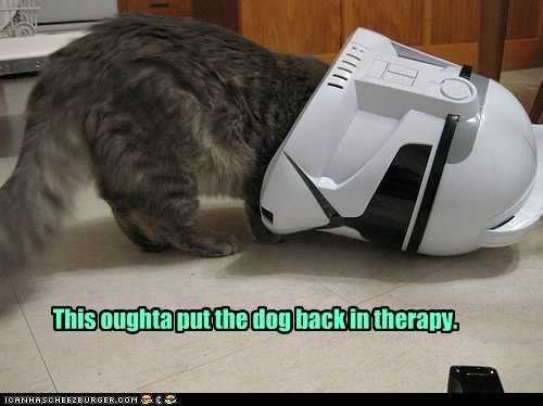 This'll put the dog back in therapy photo dogintherapy_zps63bca165.jpg