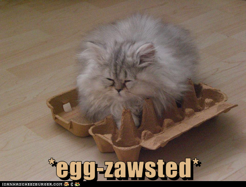 egg-zawsted photo eggzawsted_zps007adb5a.png