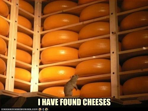 found cheeses photo foundcheeses_zps7180c41e.jpg