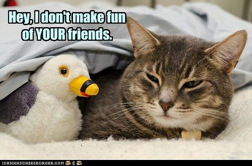 Don't make fun of your friends. photo makefunofyourfriends_zps05f738ed.jpg