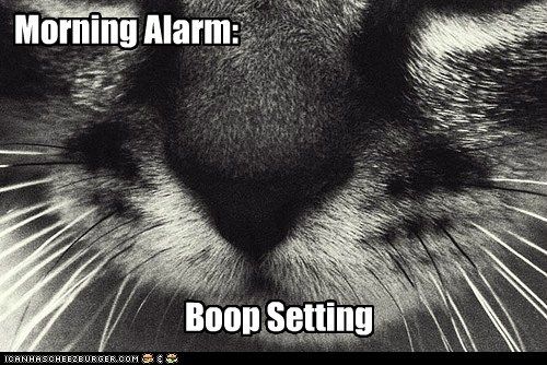 Morning Alarm Boop Setting photo morningalarmboopsetting_zps76c0af85.jpg