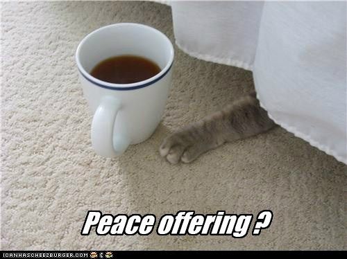 Peace offering? photo peaceoffering_zps5d82cb4a.jpg