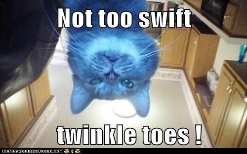 Not too swift twinkle toes! photo twinkletoes_zpsbb123696.jpg