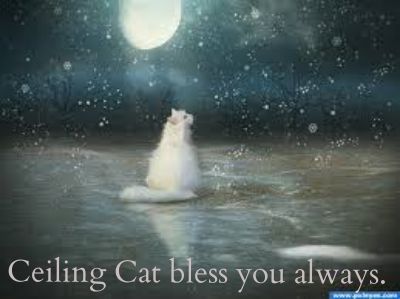 Ceiling Cat bless you always photo 4e3f608e-acec-4cb6-909a-f35763db58c9_zpsbeeee4f5-1.jpg