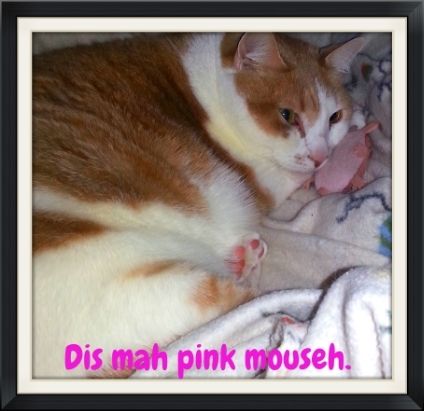 dis mah pink mouseh photo 031d658b-7b7e-49ac-9d08-e07ecce1b8fc_zpscc2f2f5c.jpg