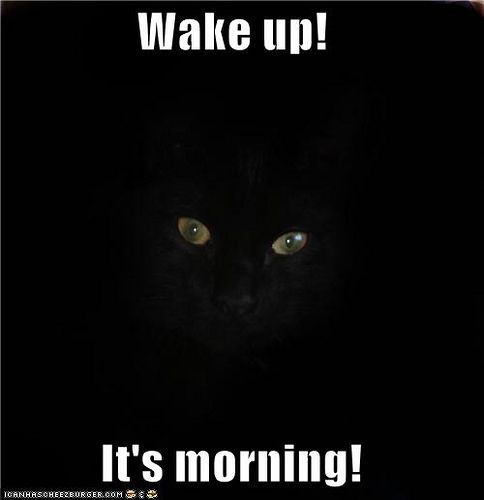 It's Morning! photo Wakeupitsmorning_zpsd248ab27.jpg