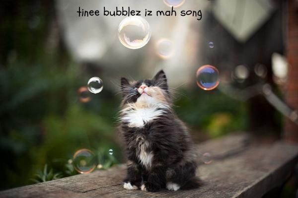 tinee bubblez iz mah song photo a247e703-daa5-4aa2-b82a-a742ec7e204a_zpsfpnyvduo.jpg