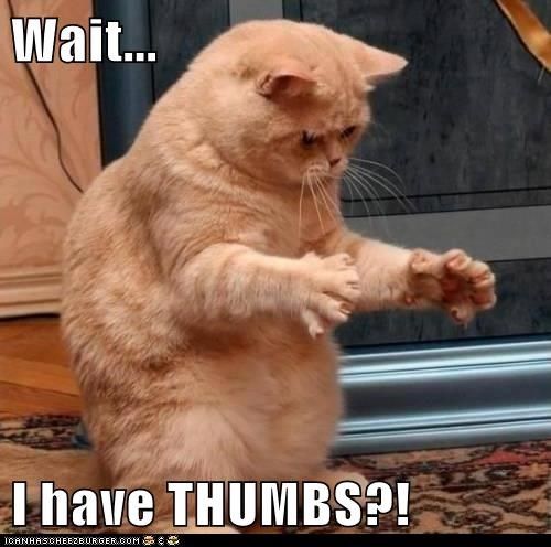 Have THUMBS?! photo aihabthumbs_zps23270f44.jpg