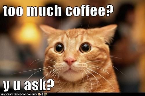 Too Much Coffee?? photo toomuchcoffee_zps04d22470.jpg