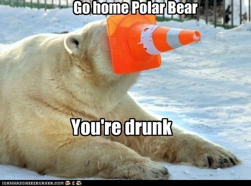 Drunk Polar Bear photo DrunkenPolarBear_zps9096a423.jpg