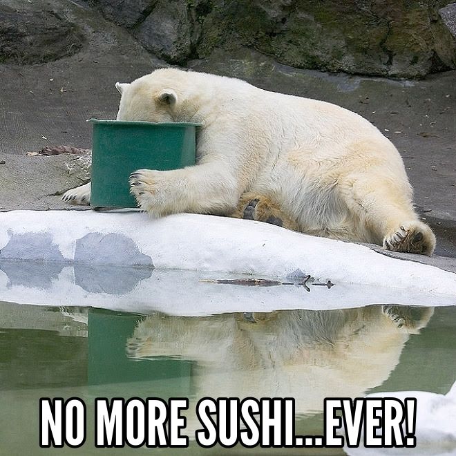 No More Sushi...Ever! photo bc90a074-0bac-4678-8276-cf1c1f02882d_zpscnyhke5l.jpg