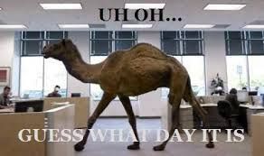 Guess what day it is photo uhohguesswhatdayitis_zps97157e24.jpg