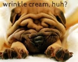 wrinkle cream, huh? photo 37b8e85a-8230-4e29-8298-db9730635e12_zps9c1bef74.jpg