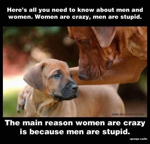 Women are crazy; Men are stoopid. photo AllYouNeedToKnowMenandWomen_zps66e55cac.jpeg