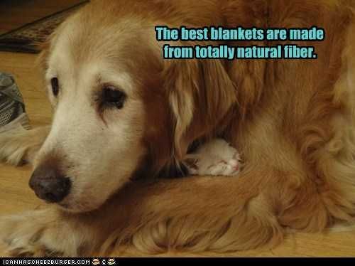 Best blankets are made from natural fiber. photo BestBlankets_zps995b7dc9.jpg