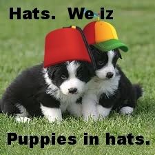 Puppies in hats. photo c91a63a7-e0b5-49f1-b739-6ff9ce82a5e4_zpsgv9pjqap.jpg