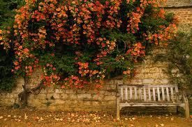 Autumn bench photo autumn bench_zpsqkvaegza.jpg