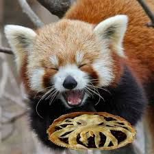  photo red panda and pie_zpsx2lbtlim.jpeg
