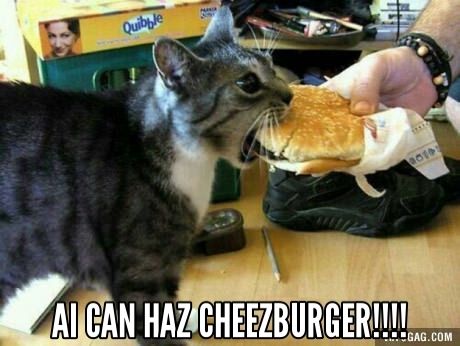 ai can haz cheezburger photo 8d3b6f10-1a44-49c6-8270-a0697c91e286_zps8hnr1ort.jpg