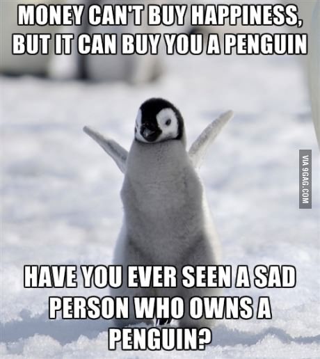 buy a penguin photo buyapenguin_zpsebd2b394.jpg