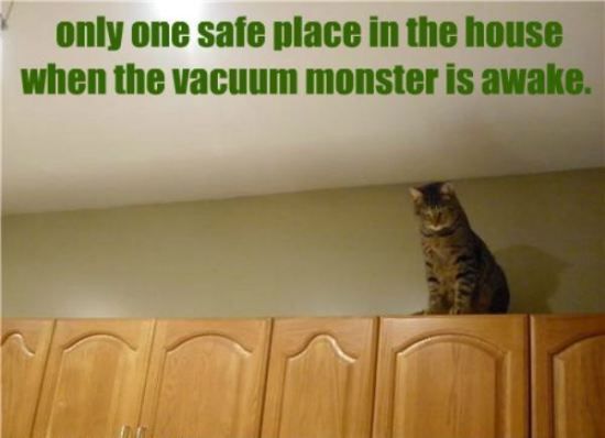 vacuum monster is awake photo safe_zpsd814920c.jpg