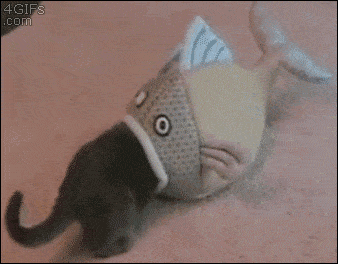  photo fish eats cat gif_zps3l9rudaz.gif
