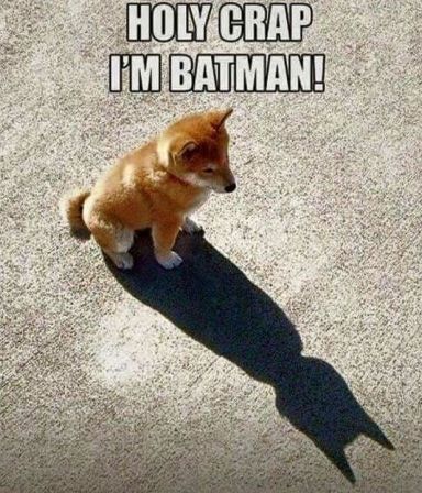 I'm Batman!!! photo im20batman_zpsiyxgs4tb.jpg