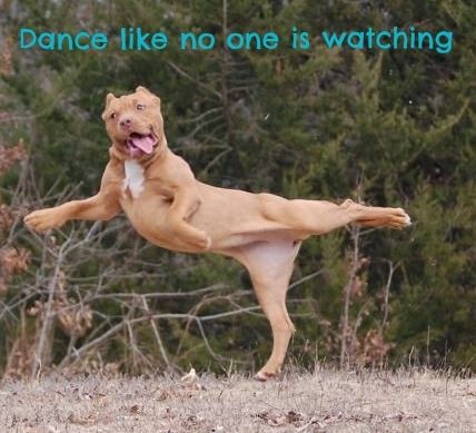 Dance like no one is watching. photo e6a0e0b8-3f7b-49c5-9aa4-b8fb64c7ee8a_zpsvi9izkzu.jpg