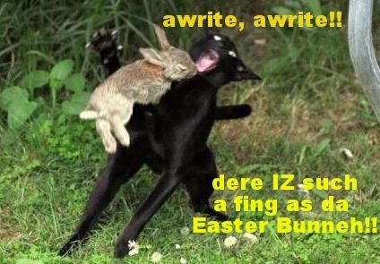 Easter Bunneh photo 8a93ba8e-94bb-462d-8981-a691ca33025d_zpsdlmrz9wn.jpg