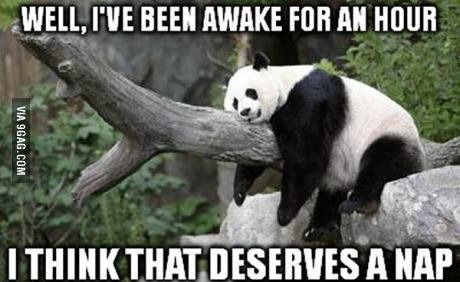 Awake for an hour need a nap photo panda nap_zpsretkixdl.jpg