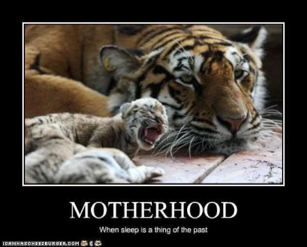 Motherhood photo tigercub_zpseydgngro.jpg