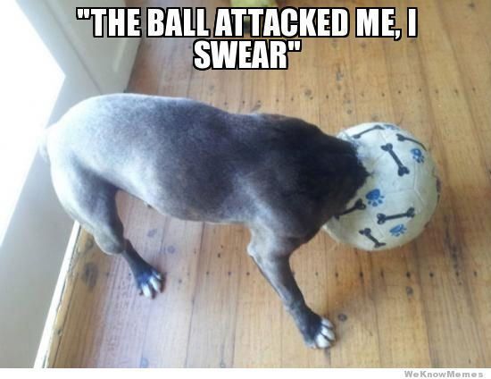  photo the-ball-attacked-me-i-swear_zps4ofmssz0.jpg