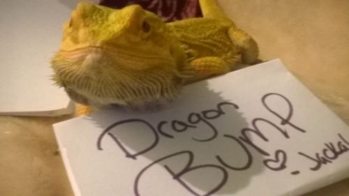 9d3e1358-d17b-4b6a-8bbc-89ab41f2ba1e_zps