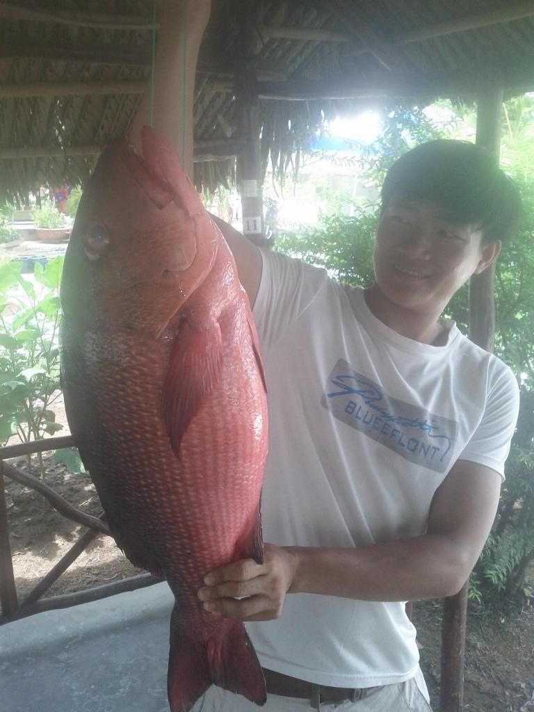 Bán cá hô , cá chép giòn , hải sản tươi sống - 3