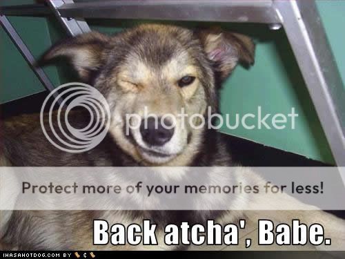 Back atcha, Babe. photo Backatchababe_zps766faefe.jpg