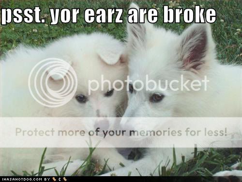Earz are broke photo EarsIzBroke_zps82465781.jpg