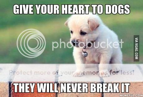 give your heart to dogs photo give your heart to dogs_zpspsdqdj5i.jpg