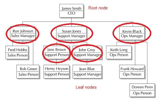 Hierarchical Chart